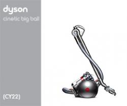 Dyson CY22 15274-01 CY22 Absolute EURO 215274-01 (Iron/Sprayed Nickel/Red) 2 onderdelen en accessoires